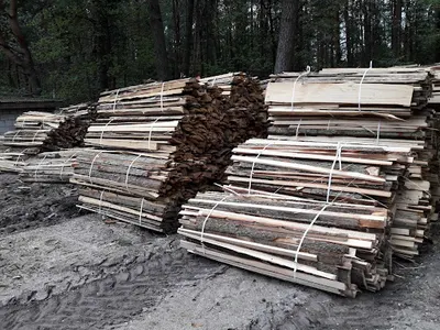 TARTAK Damian Wróbel